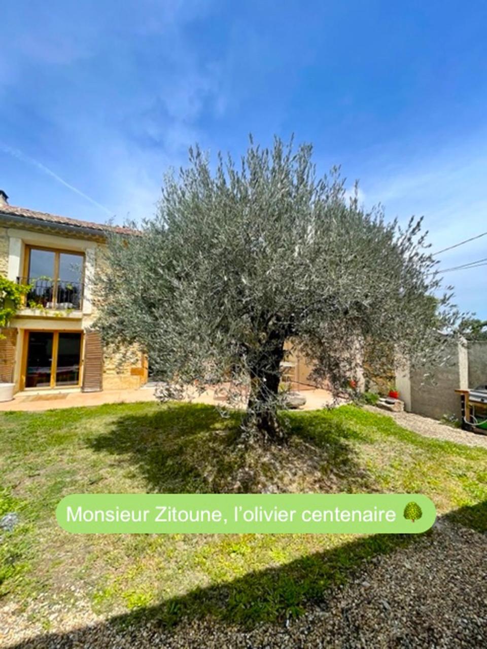 La Maison Bliss Hotel Piolenc ภายนอก รูปภาพ